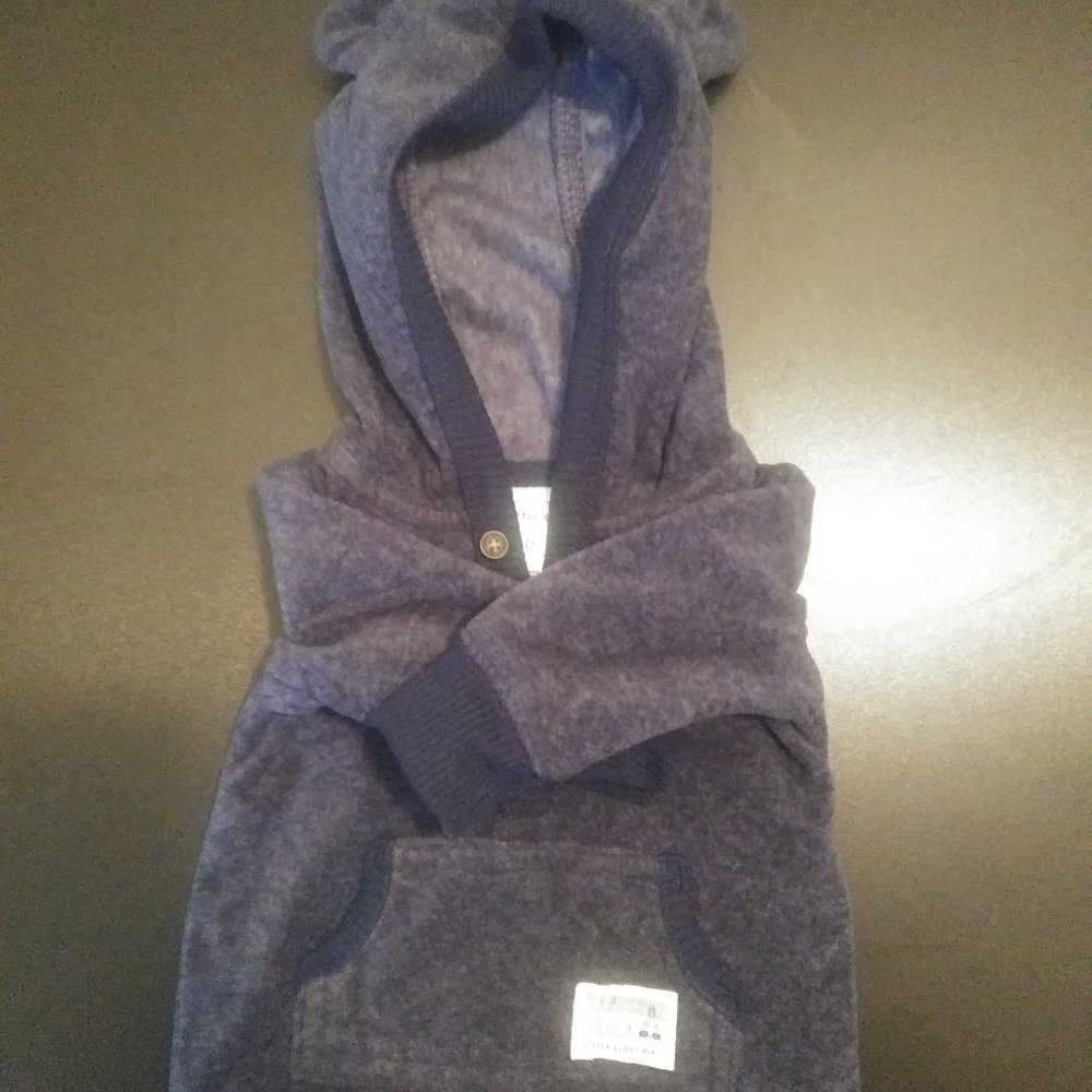 CARTERS Hooded Fleece with Bear Ears Outfit